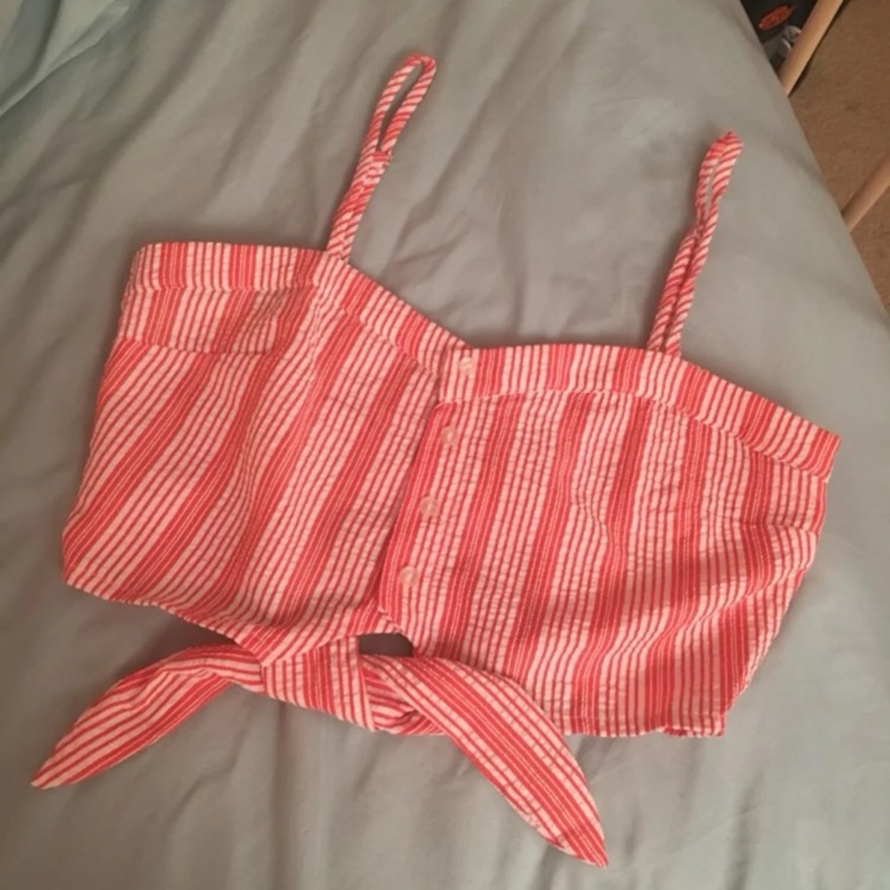 NWOT Pink Striped Crop Top